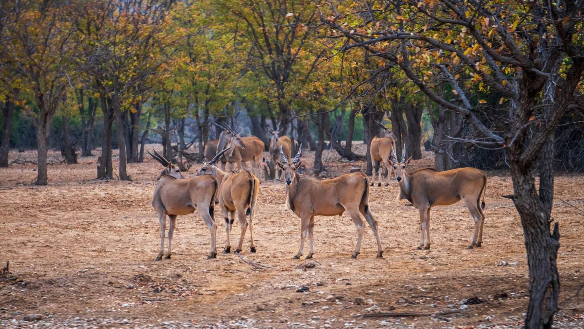 Ugab Game Farm & Lodge Vingerklip Ngoại thất bức ảnh